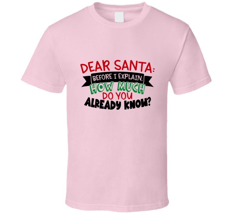 Dear Santa Before I Explain Amusing Christmas Tshirt Cool Funny T-shirt Holiday Tee T Shirt